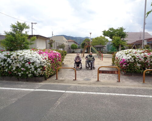 DSC00875